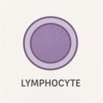 【備忘録】 CLL(慢性リンパ性白血病)の症状が出るタイミングは