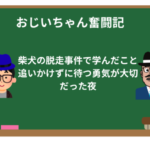 柴犬の脱走事件で学んだこと｜追いかけずに待つ勇気が大切だった夜
