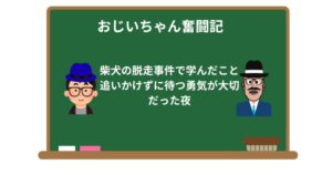 柴犬の脱走事件で学んだこと｜追いかけずに待つ勇気が大切だった夜