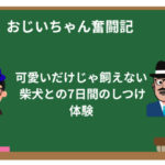 可愛いだけじゃ飼えない――私と柴犬の7日間のしつけ体験と学び