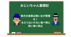 柴犬の食事は飼い主が管理を！与えてはいけない食べ物と拾い食い防止策