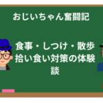 柴犬との暮らし完全ガイド｜食事・しつけ・散歩・拾い食い対策の体験談