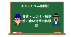 柴犬との暮らし完全ガイド｜食事・しつけ・散歩・拾い食い対策の体験談